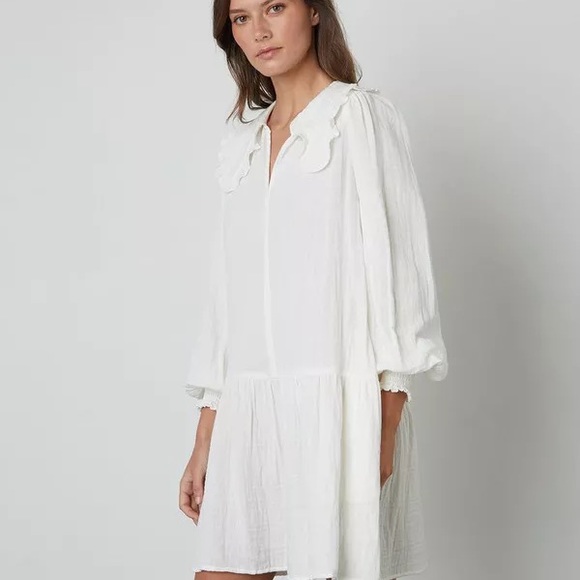 SOLD NWT Velvet by Graham & Spencer Kathy Cotton Gaize dress sz XS - Picture 3 of 3